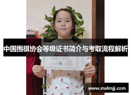 中国围棋协会等级证书简介与考取流程解析